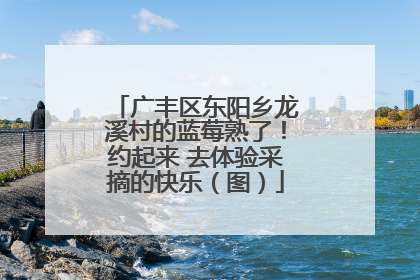 广丰区东阳乡龙溪村的蓝莓熟了！约起来 去体验采摘的快乐（图）
