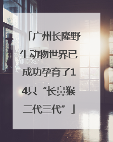 广州长隆野生动物世界已成功孕育了14只“长鼻猴二代三代”