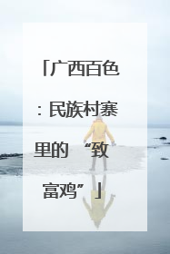 广西百色：民族村寨里的 “致富鸡”
