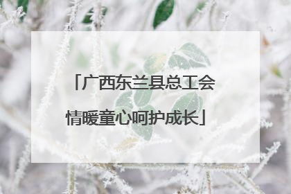 广西东兰县总工会情暖童心呵护成长