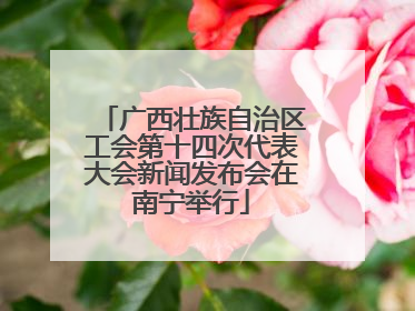 广西壮族自治区工会第十四次代表大会新闻发布会在南宁举行