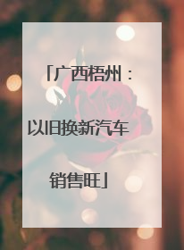 广西梧州：以旧换新汽车销售旺
