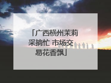 广西横州茉莉采摘忙 市场交易花香飘