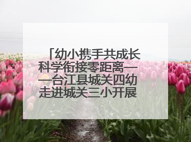 幼小携手共成长科学衔接零距离——台江县城关四幼走进城关三小开展幼小衔接活动