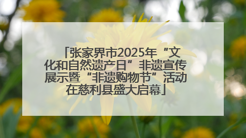 张家界市2025年“文化和自然遗产日”非遗宣传展示暨“非遗购物节”活动在慈利县盛大启幕