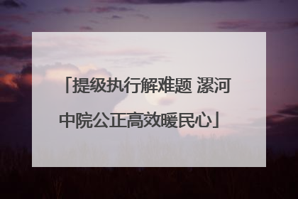 提级执行解难题 漯河中院公正高效暖民心