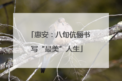 惠安：八旬伉俪书写“最美”人生