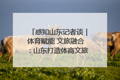 感知山东记者谈｜体育赋能 文旅融合：山东打造体商文旅融合发展新格局
