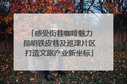 感受街巷咖啡魅力 昆明铁皮巷及巡津片区打造文旅产业新坐标