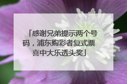 感谢兄弟提示两个号码，浦东购彩者复式票喜中大乐透头奖