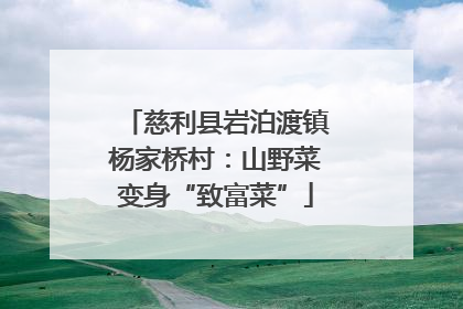 慈利县岩泊渡镇杨家桥村：山野菜变身“致富菜”