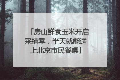 房山鲜食玉米开启采摘季，半天就能送上北京市民餐桌