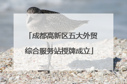 成都高新区五大外贸综合服务站授牌成立