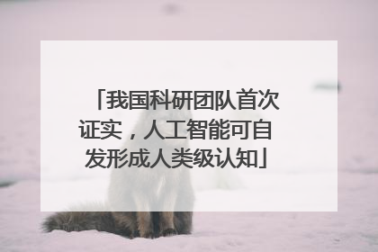 我国科研团队首次证实，人工智能可自发形成人类级认知