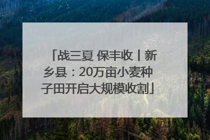 战三夏 保丰收丨新乡县：20万亩小麦种子田开启大规模收割