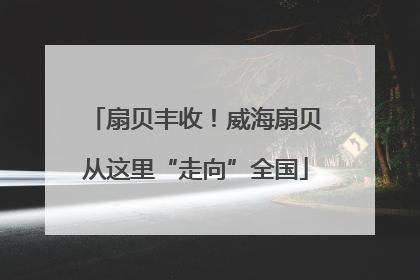 扇贝丰收！威海扇贝从这里“走向”全国