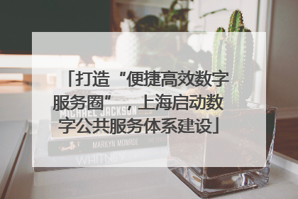 打造“便捷高效数字服务圈”，上海启动数字公共服务体系建设