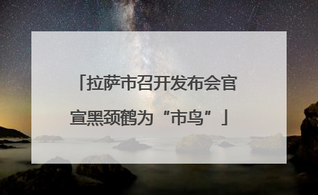 拉萨市召开发布会官宣黑颈鹤为“市鸟”