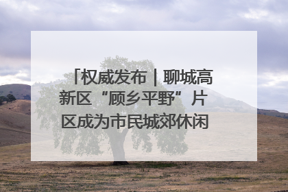 权威发布｜聊城高新区“顾乡平野”片区成为市民城郊休闲全新目的地