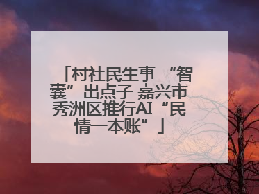 村社民生事 “智囊”出点子 嘉兴市秀洲区推行AI“民情一本账”