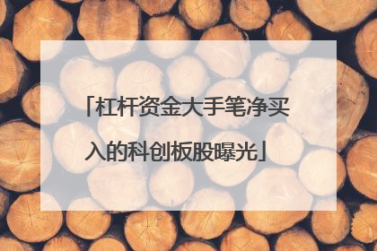 杠杆资金大手笔净买入的科创板股曝光