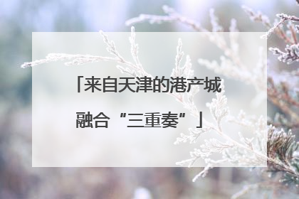来自天津的港产城融合“三重奏”