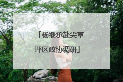 杨继承赴尖草坪区政协调研
