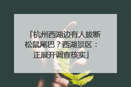 杭州西湖边有人拔断松鼠尾巴？西湖景区：正展开调查核实