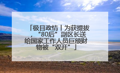 极目政情丨为获提拔，“80后”副区长送给国家工作人员巨额财物被“双开”