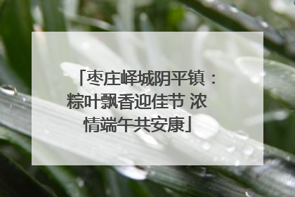 枣庄峄城阴平镇：粽叶飘香迎佳节 浓情端午共安康
