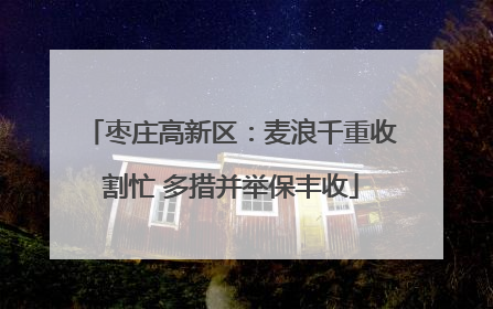 枣庄高新区：麦浪千重收割忙 多措并举保丰收