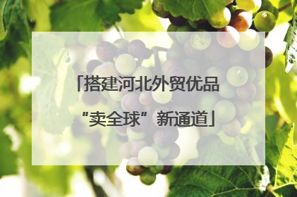 搭建河北外贸优品“卖全球”新通道
