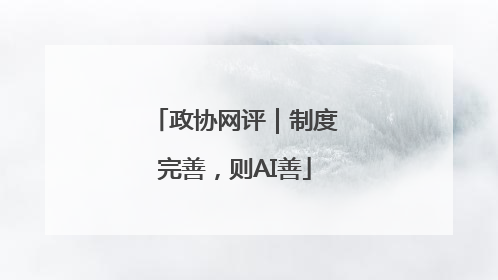 政协网评｜制度完善，则AI善