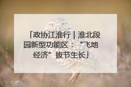政协江淮行｜淮北段园新型功能区：“飞地经济”拔节生长