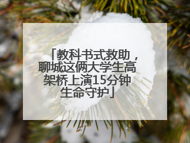 教科书式救助，聊城这俩大学生高架桥上演15分钟生命守护