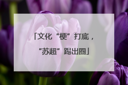 文化“梗”打底，“苏超”踢出圈