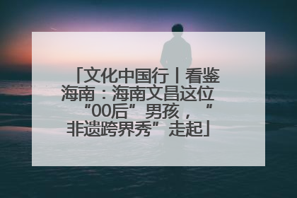 文化中国行丨看鉴海南：海南文昌这位“00后”男孩，“非遗跨界秀”走起