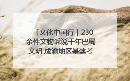 文化中国行｜230余件文物诉说千年巴蜀文明 成渝地区基建考古成果展开展