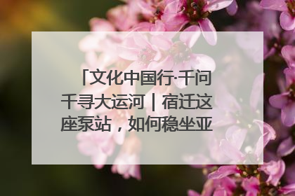 文化中国行·千问千寻大运河｜宿迁这座泵站，如何稳坐亚洲第一宝座？