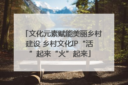 文化元素赋能美丽乡村建设 乡村文化IP“活”起来“火”起来