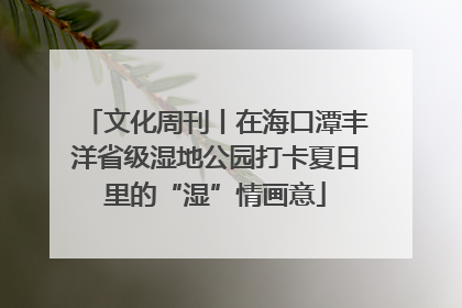 文化周刊丨在海口潭丰洋省级湿地公园打卡夏日里的“湿”情画意
