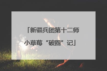 新疆兵团第十二师小草莓“破圈”记