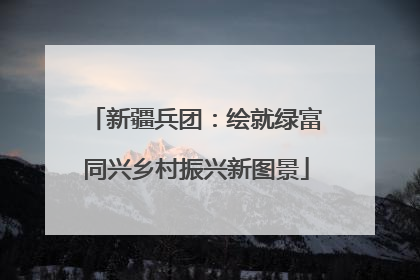 新疆兵团：绘就绿富同兴乡村振兴新图景