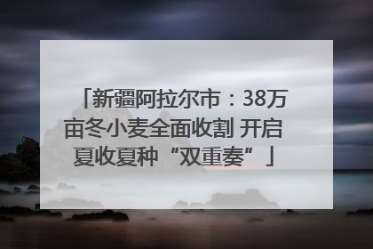 新疆阿拉尔市：38万亩冬小麦全面收割 开启夏收夏种“双重奏”