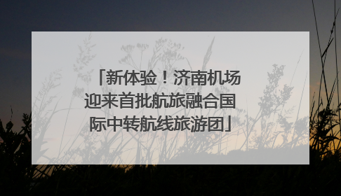 新体验！济南机场迎来首批航旅融合国际中转航线旅游团