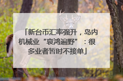 新台币汇率强升，岛内机械业“哀鸿遍野”：很多业者暂时不接单
