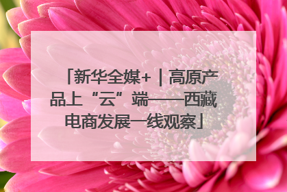 新华全媒+｜高原产品上“云”端——西藏电商发展一线观察