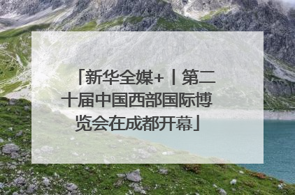 新华全媒+丨第二十届中国西部国际博览会在成都开幕