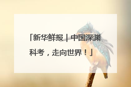 新华鲜报｜中国深渊科考，走向世界！