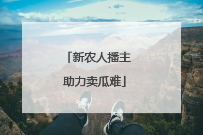 新农人播主 助力卖瓜难